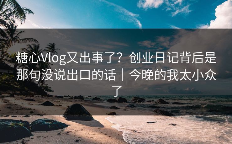 糖心Vlog又出事了？创业日记背后是那句没说出口的话｜今晚的我太小众了