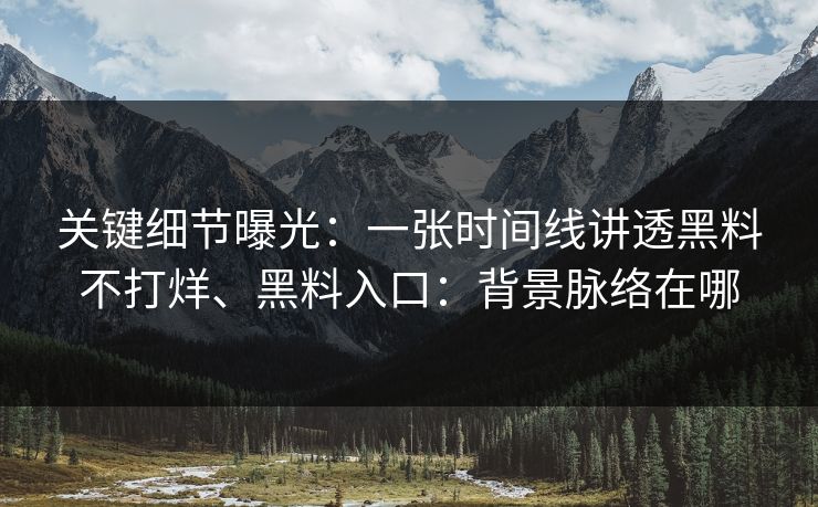 关键细节曝光：一张时间线讲透黑料不打烊、黑料入口：背景脉络在哪
