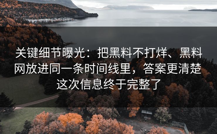 关键细节曝光：把黑料不打烊、黑料网放进同一条时间线里，答案更清楚 这次信息终于完整了