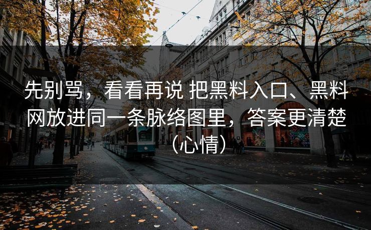 先别骂，看看再说 把黑料入口、黑料网放进同一条脉络图里，答案更清楚（心情）