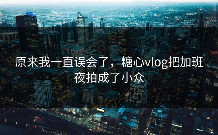 原来我一直误会了，糖心vlog把加班夜拍成了小众