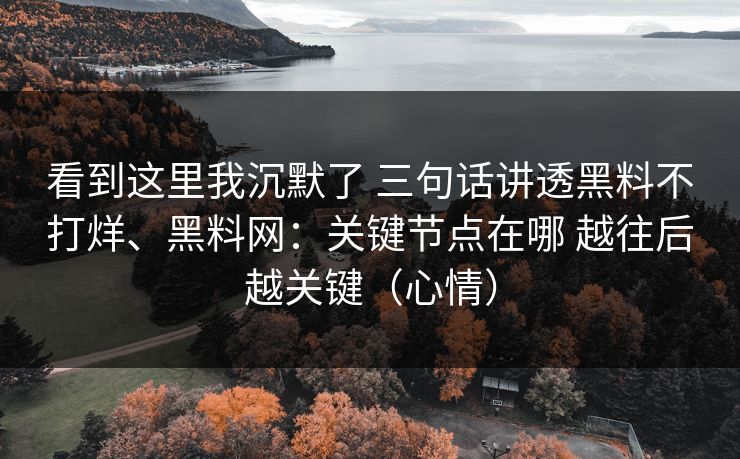 看到这里我沉默了 三句话讲透黑料不打烊、<strong>黑料网</strong>：关键节点在哪 越往后越关键（心情）