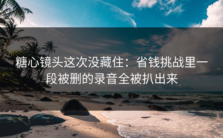 糖心镜头这次没藏住：省钱挑战里一段被删的录音全被扒出来