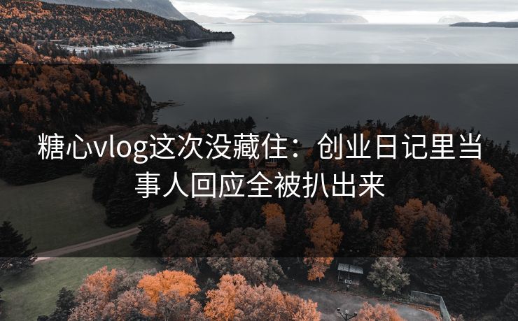 糖心vlog这次没藏住：创业日记里当事人回应全被扒出来