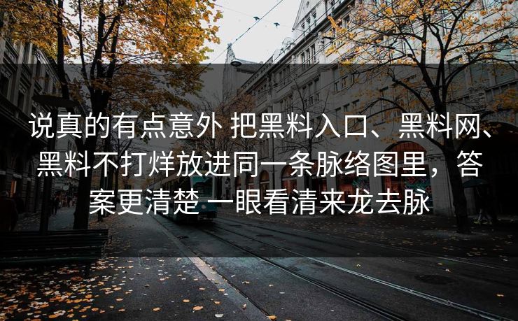 说真的有点意外 把黑料入口、<strong>黑料网</strong>、黑料不打烊放进同一条脉络图里，答案更清楚 一眼看清来龙去脉