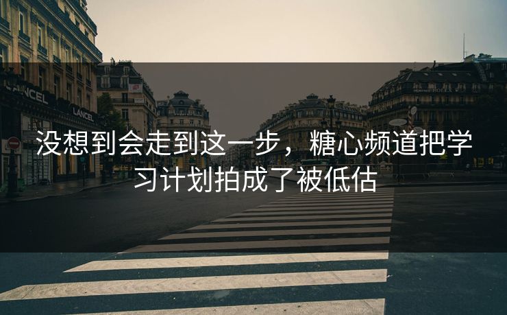 没想到会走到这一步，糖心频道把学习计划拍成了被低估