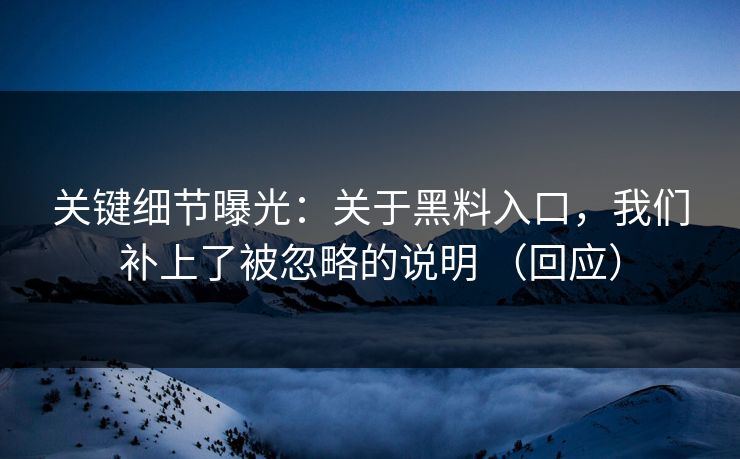 关键细节曝光：关于黑料入口，我们补上了被忽略的说明 （回应）